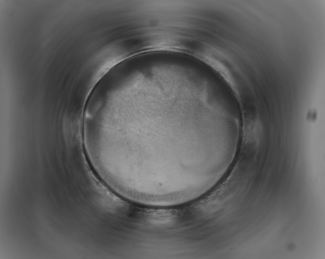 X0000097991338200804021000