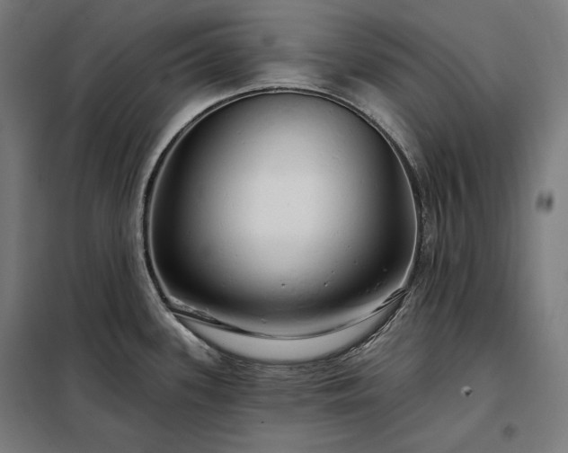 X0000097991339200804021000