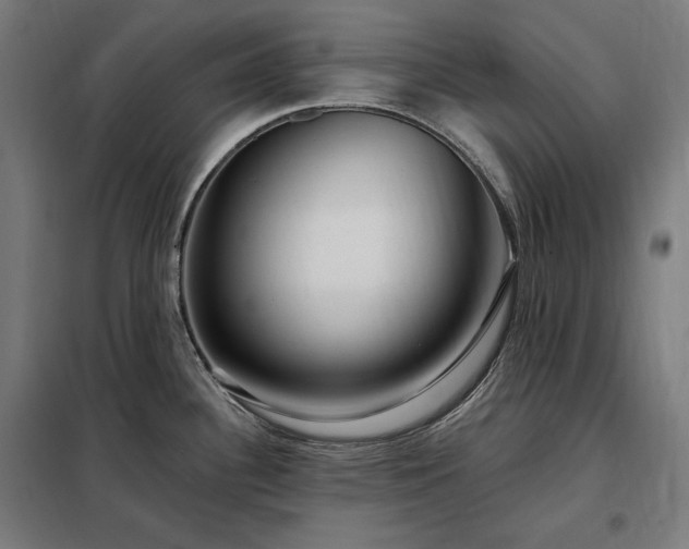 X0000097991340200804021000