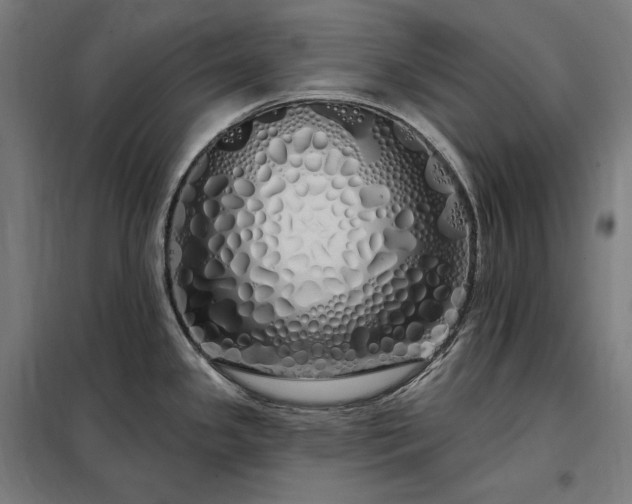 X0000097991341200804021000