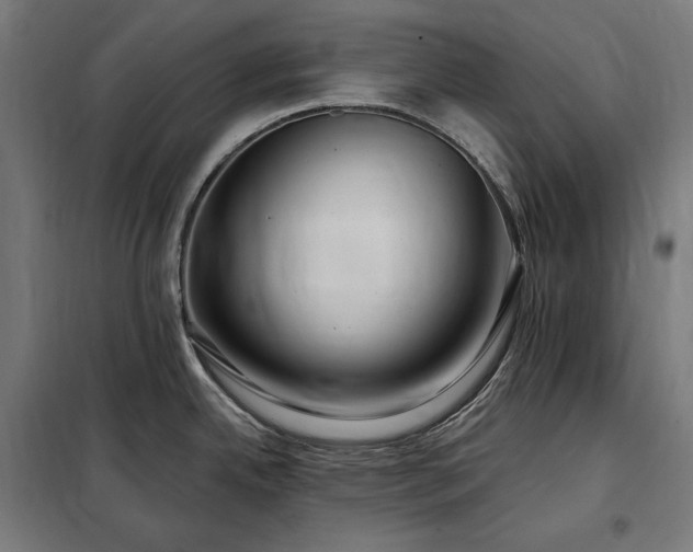 X0000097991342200804021000