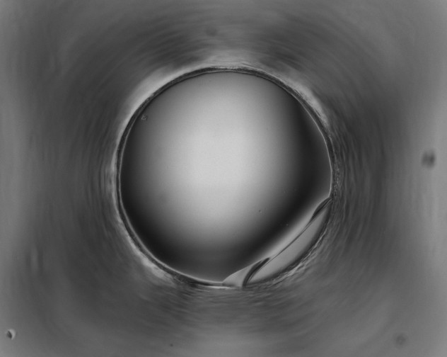 X0000097991343200804021000