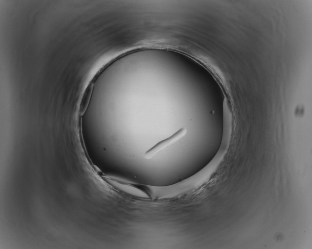 X0000097991344200804021000