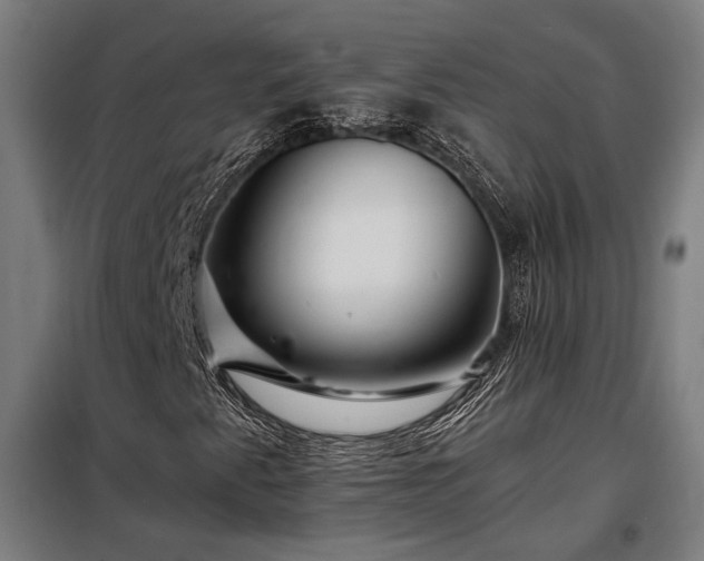 X0000097991345200804020959