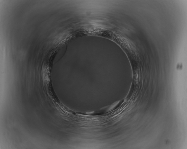 X0000097991346200804020959