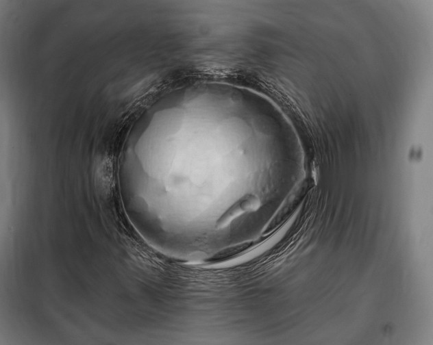 X0000097991347200804020959