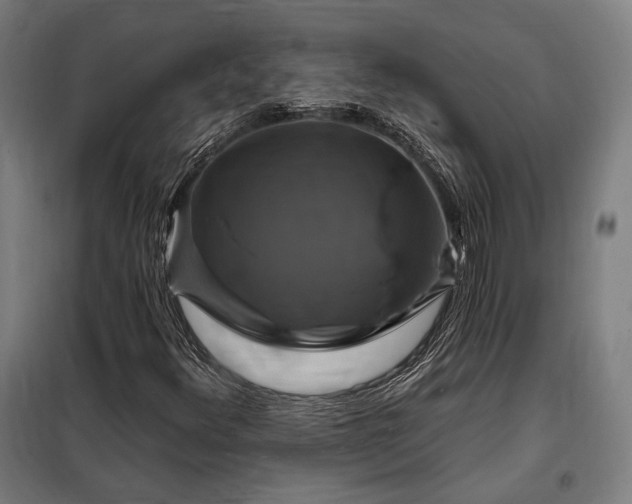 X0000097991348200804020959