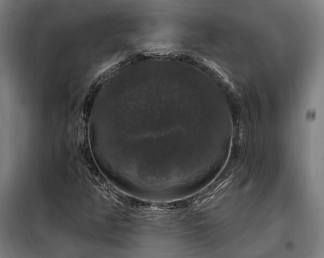 X0000097991350200804020959