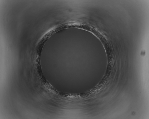 X0000097991351200804020959