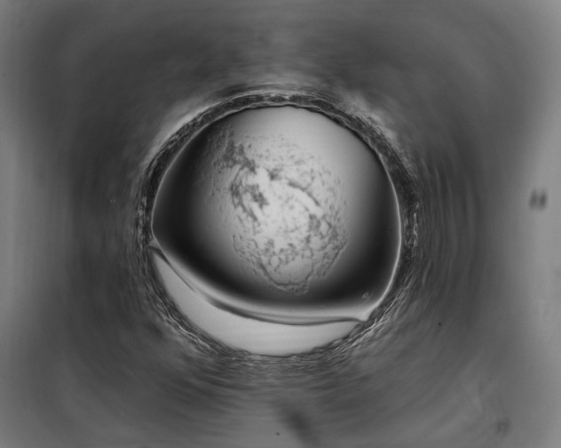 X0000097991352200804020959