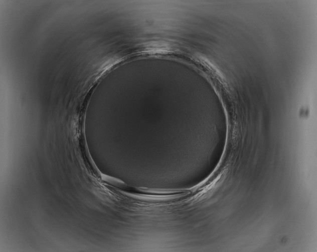 X0000097991353200804020959