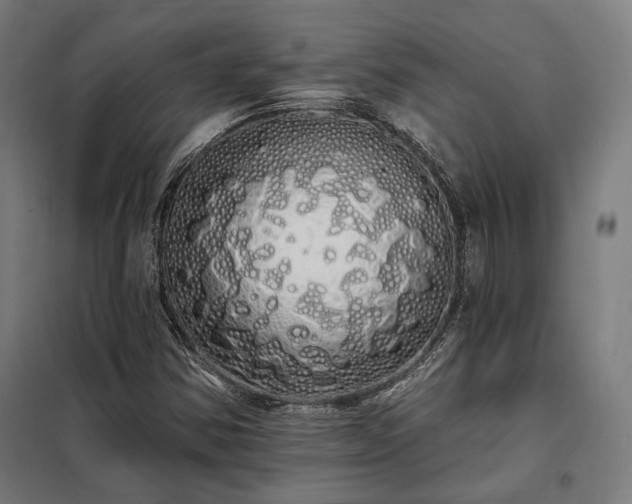 X0000097991354200804020959
