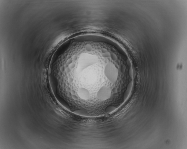 X0000097991355200804020959