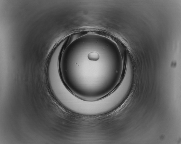 X0000097991357200804020959