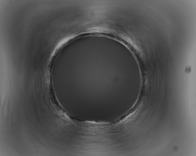 X0000097991358200804020959