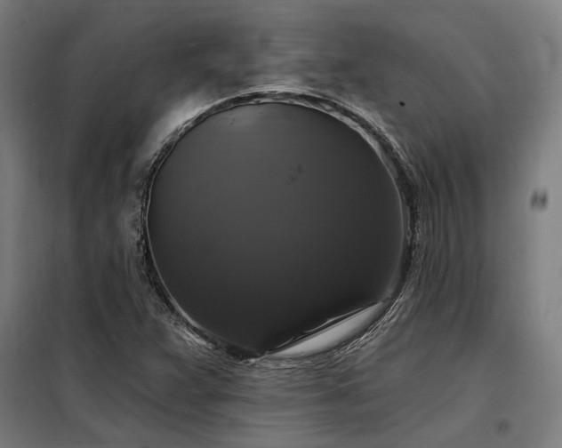 X0000097991359200804020959