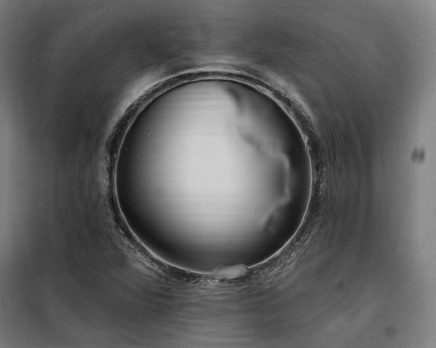 X0000097991360200804020959