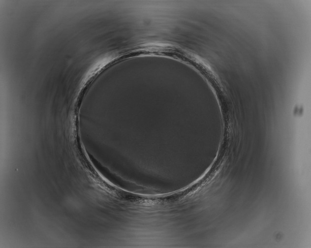 X0000097991362200804020959