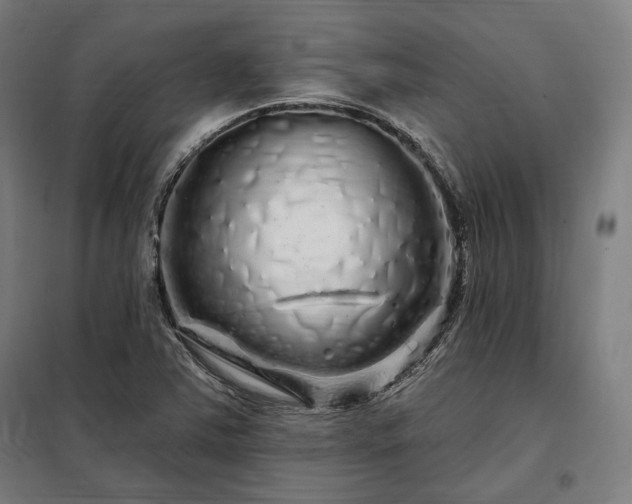 X0000097991363200804020959