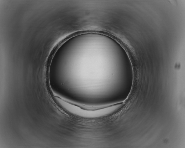X0000097991364200804020959