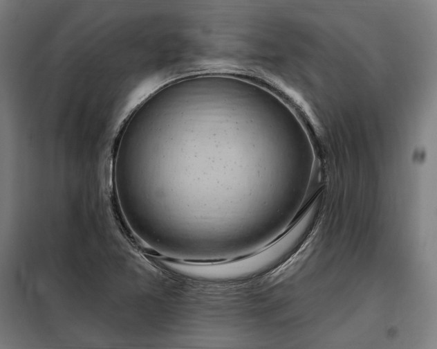 X0000097991365200804020959
