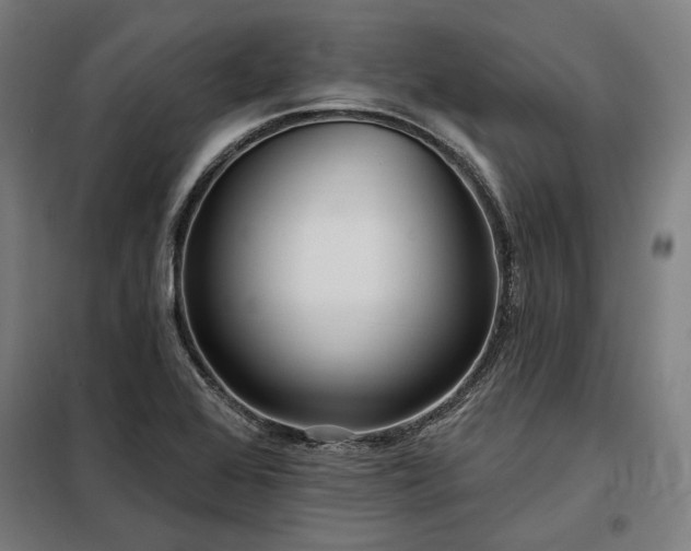 X0000097991368200804020958