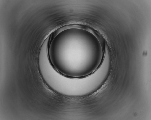 X0000097991369200804020958