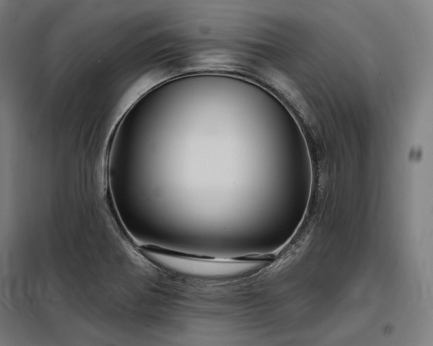 X0000097991370200804020958