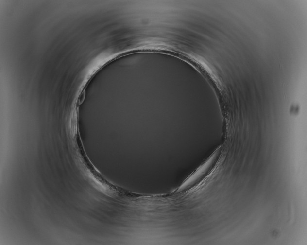 X0000097991371200804020958