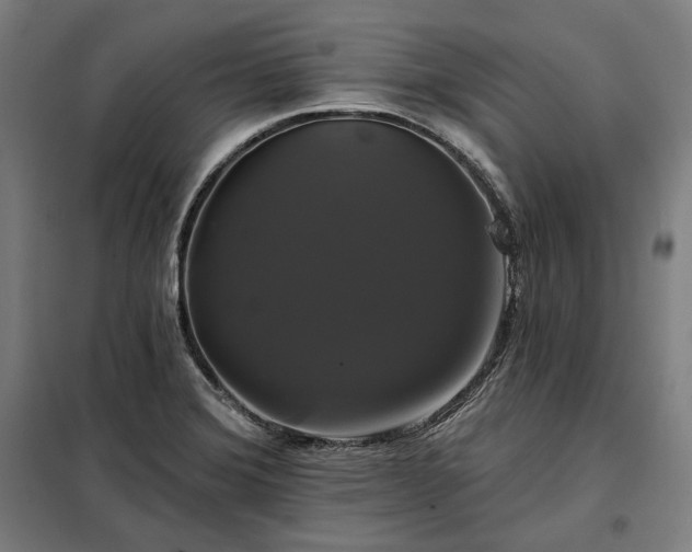 X0000097991372200804020958