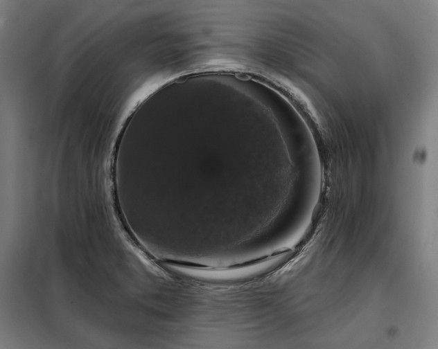 X0000097991373200804020958