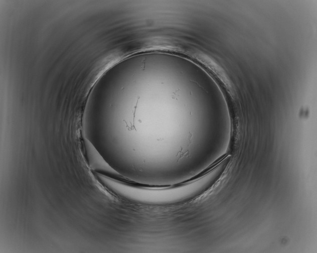 X0000097991377200804020958