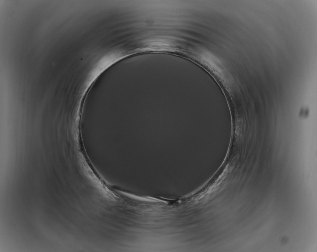 X0000097991378200804020958