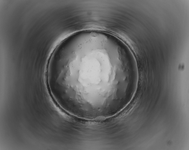 X0000097991379200804020958