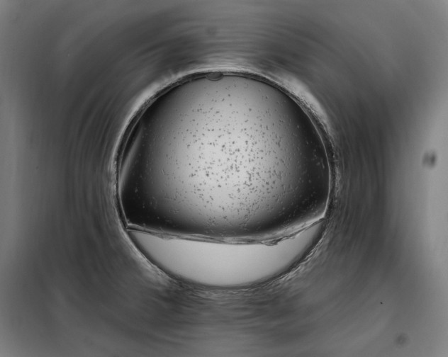 X0000097991380200804020958