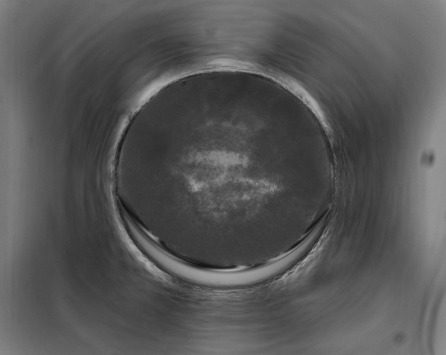 X0000097991381200804020958