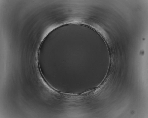 X0000097991382200804020958
