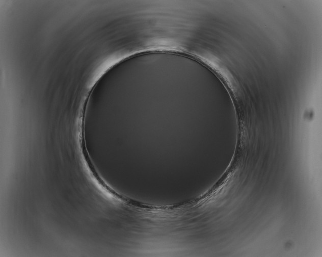 X0000097991383200804020958