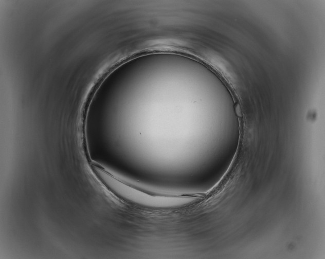 X0000097991384200804020958