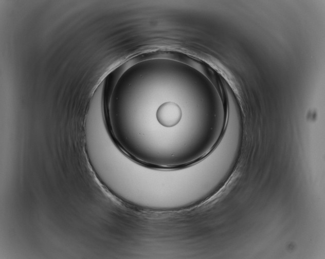 X0000097991385200804020958