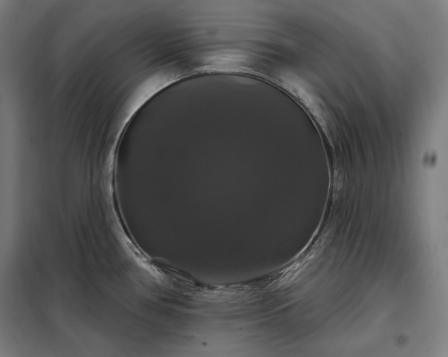 X0000097991386200804020958