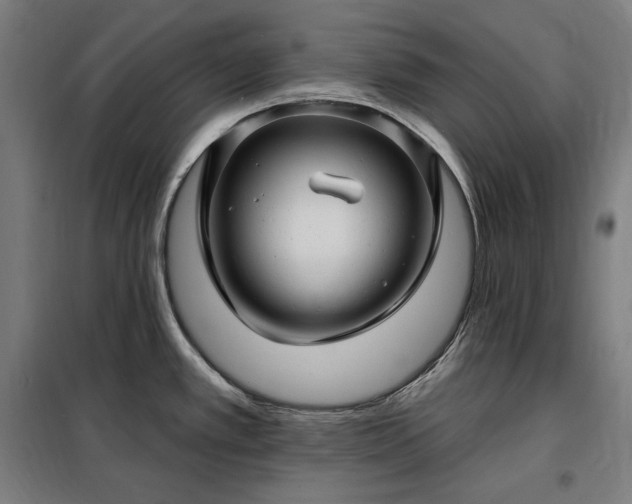X0000097991389200804020958