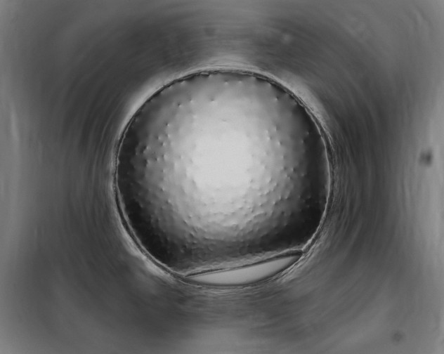 X0000097991390200804020958