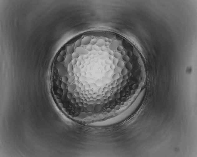 X0000097991391200804020958