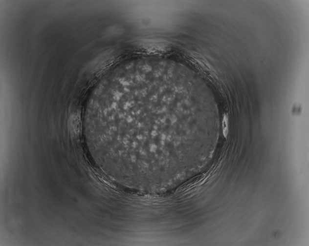 X0000097991395200804020957