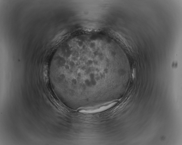 X0000097991396200804020957