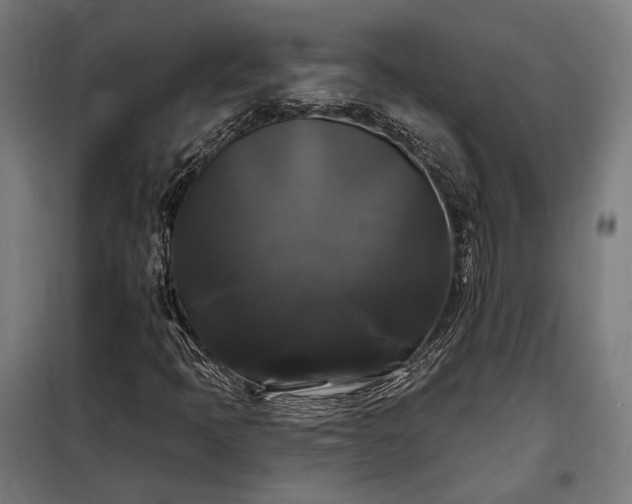 X0000097991397200804020957
