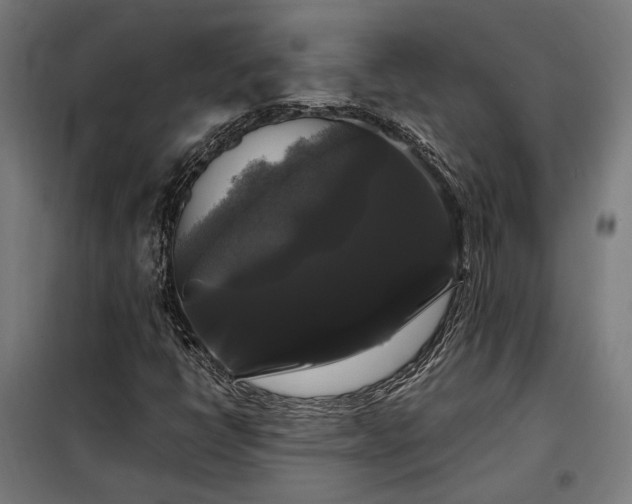 X0000097991398200804020957
