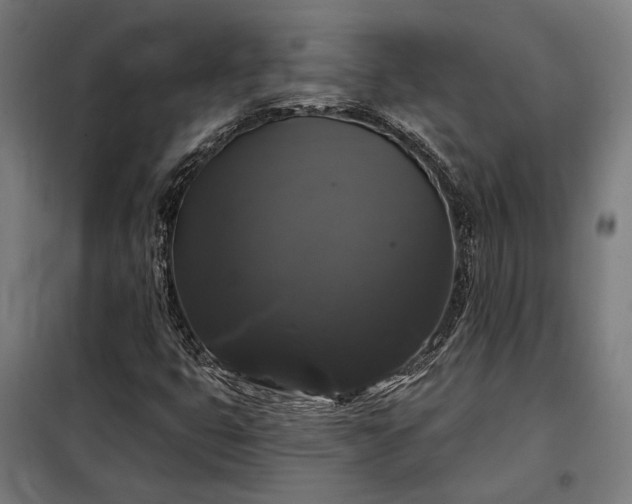 X0000097991399200804020957