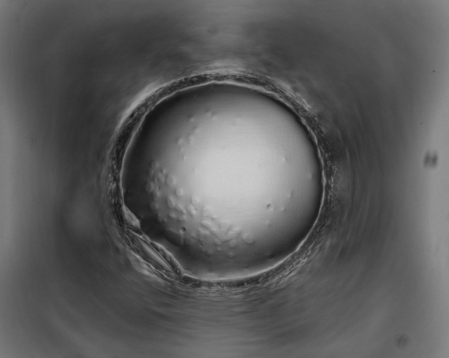 X0000097991400200804020957